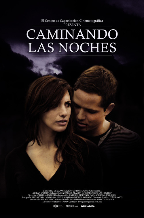 Caminando las noches (2012) poster