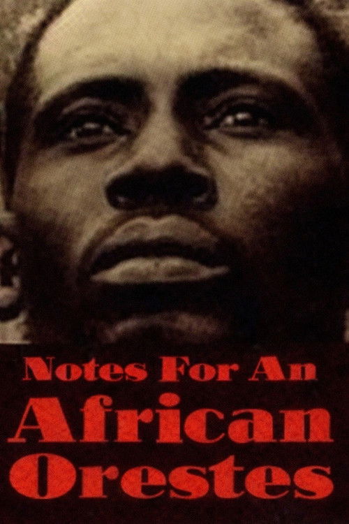 Appunti per un'Orestiade africana (1975) poster