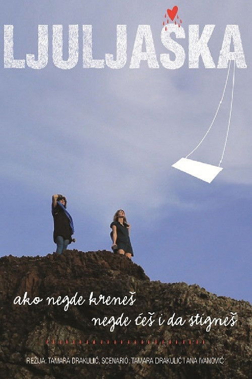 The Swing (2012) poster