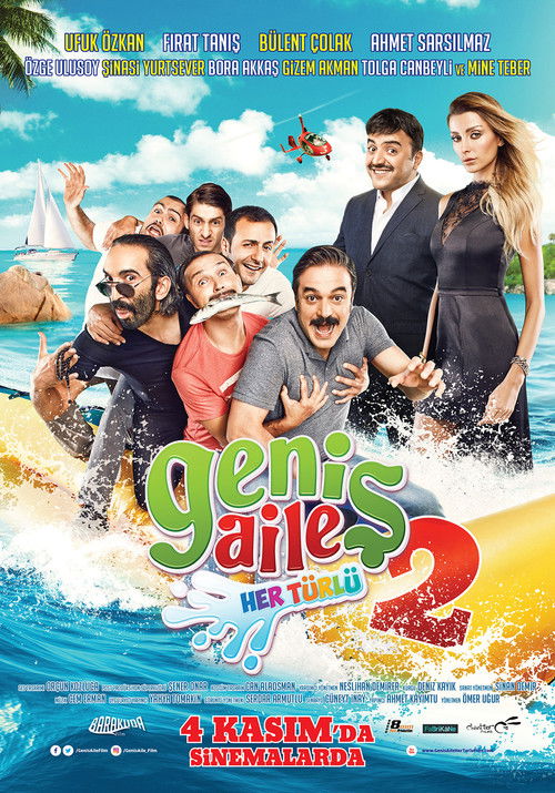 Geniş Aile 2: Her Türlü (2016) poster
