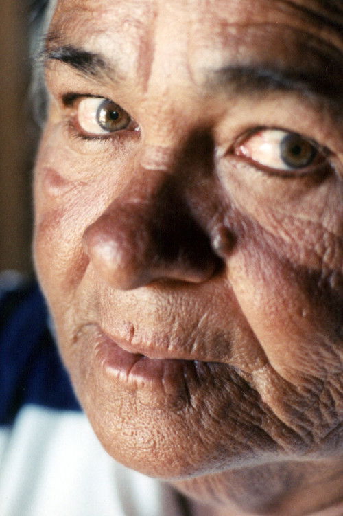 A Velha e o Mar (2005) poster