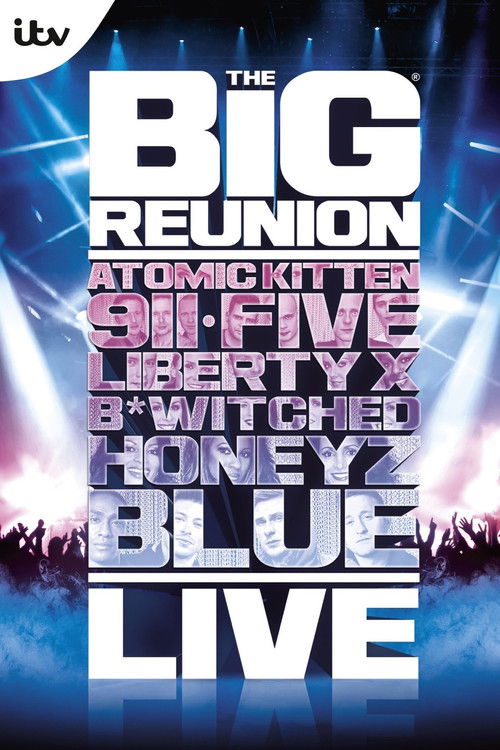 The Big Reunion Live (2013) poster