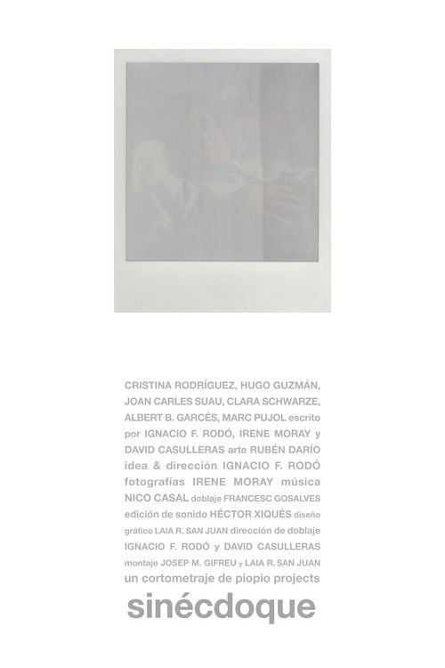 Sinécdoque (2013) poster