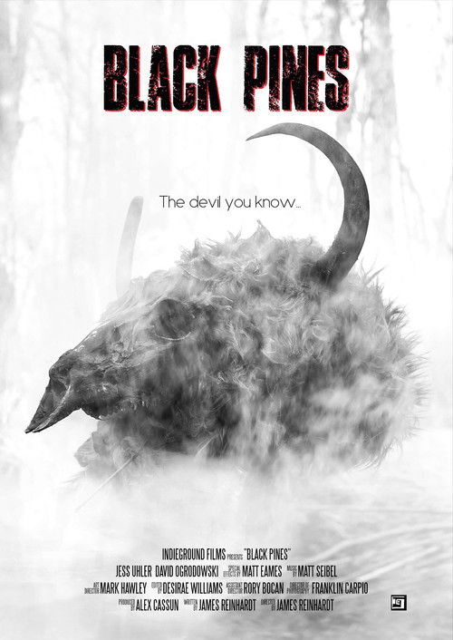 Black Pines (2022) poster