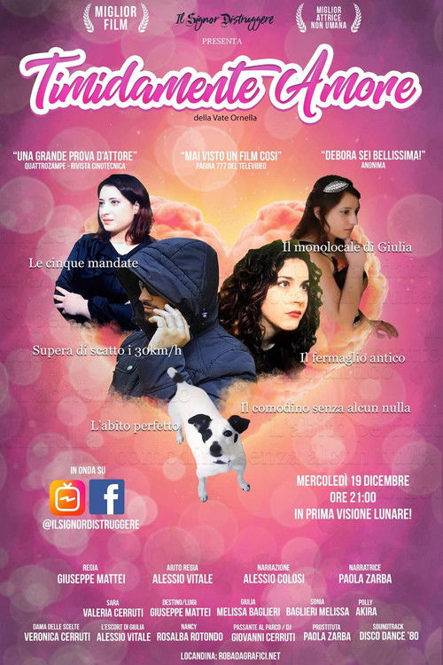 Timidamente Amore (2018) poster