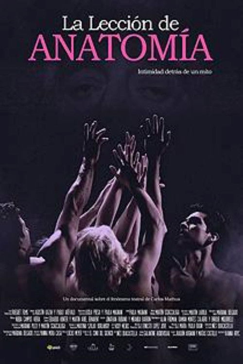 An Anatomy Lesson (2019) poster