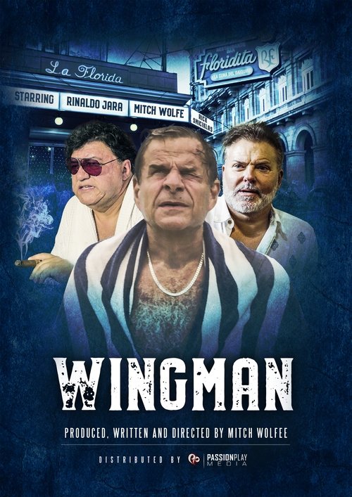 WingMan (2020) poster