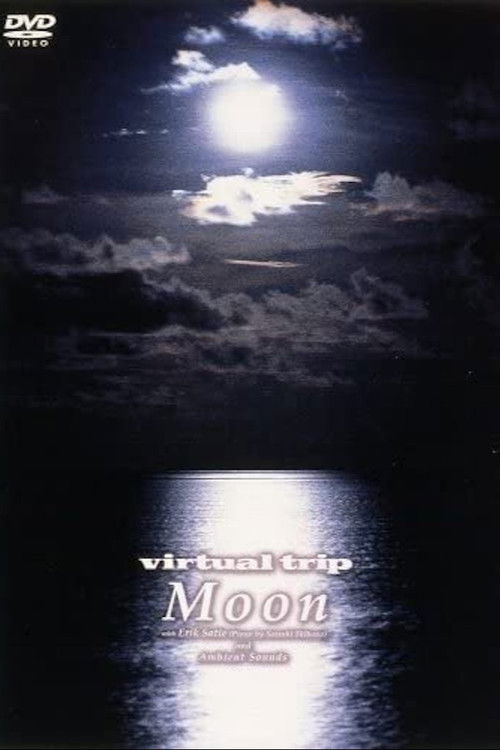 Virtual Trip Moon (1995) poster