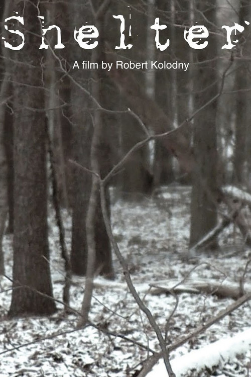 Shelter (2010) poster