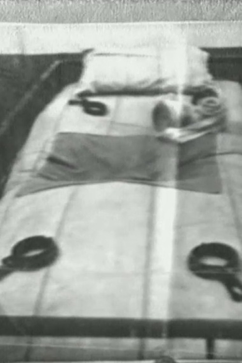 Carcere in Italia (1973) poster