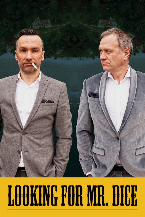 Looking for Mr. Dice (2019) poster