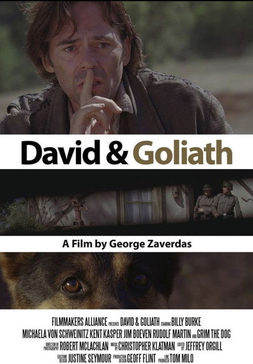 David and Goliath (2010) poster