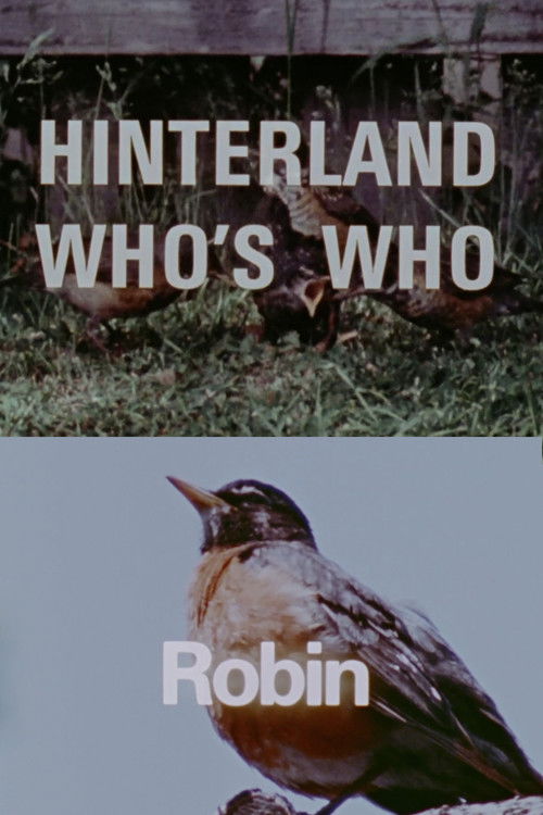 Hinterland Who's Who: Robin (1972) poster