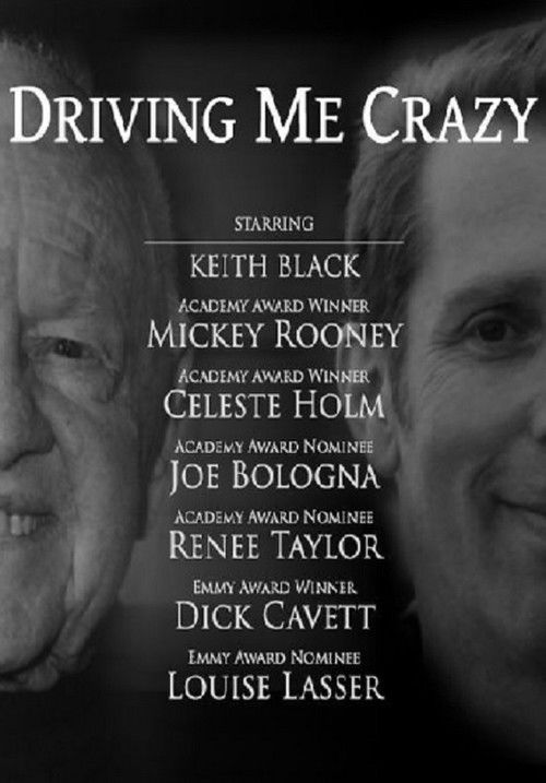 Driving Me Crazy (2012) poster
