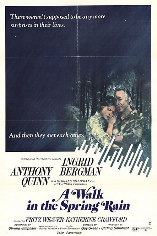 A Walk in the Spring Rain (1970) poster