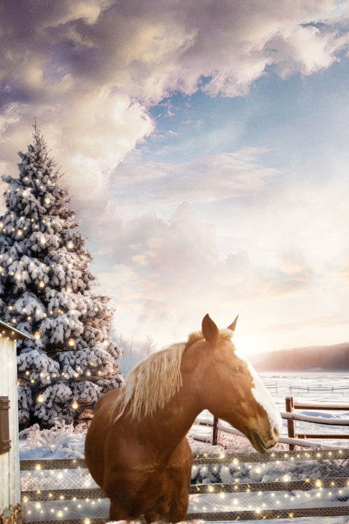 December Horses (2023) poster