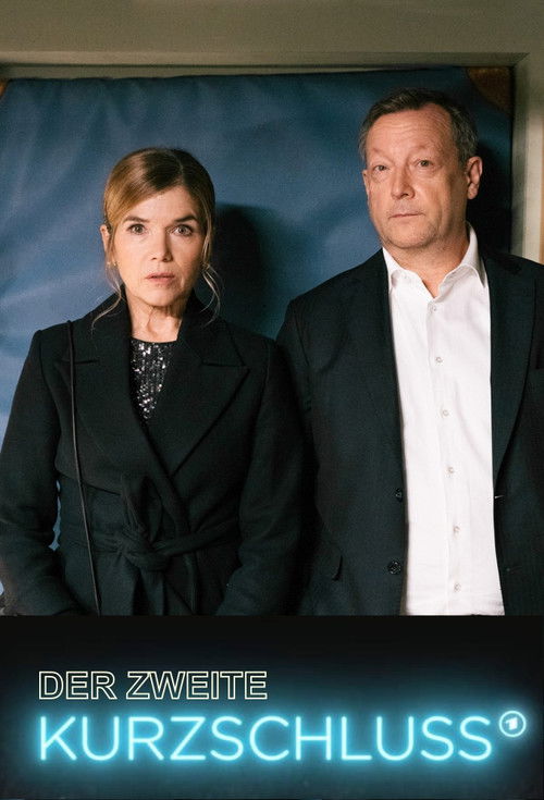Der zweite Kurzschluss (2023) poster