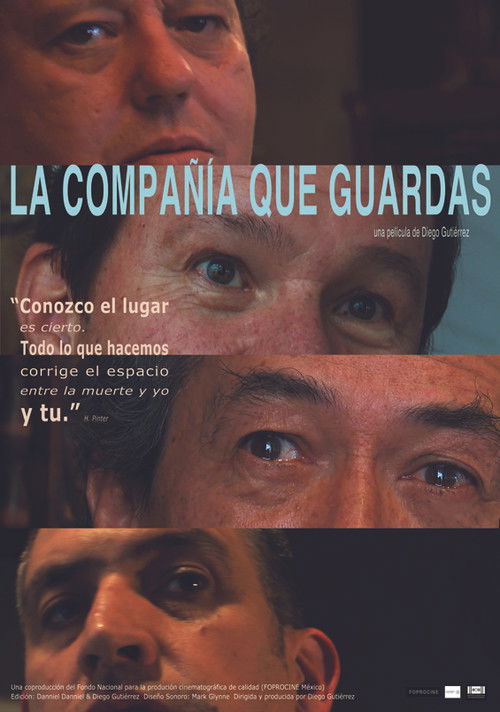 The Company You Keep (2017) poster