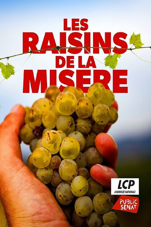 Les raisins de la misère (2021) poster