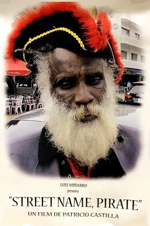 Street Name Pirate (2016) poster