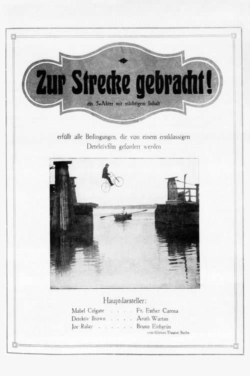 Zur Strecke gebracht (1917) poster