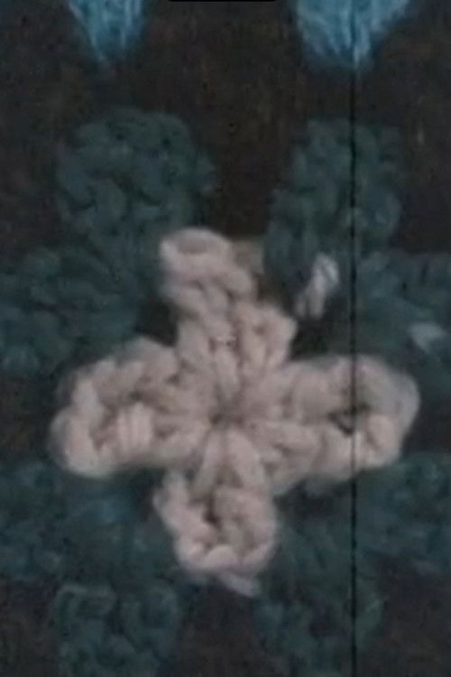 Organic Afghan (1969) poster