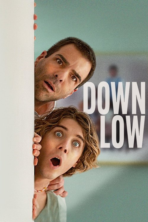 Down Low (2023) poster