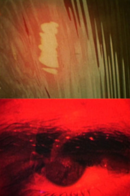 Royaume (1991) poster