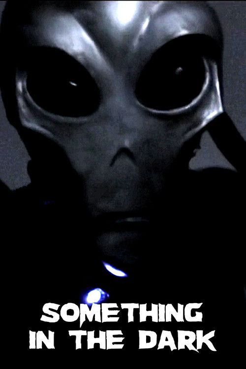 Something in the Dark (2013) poster