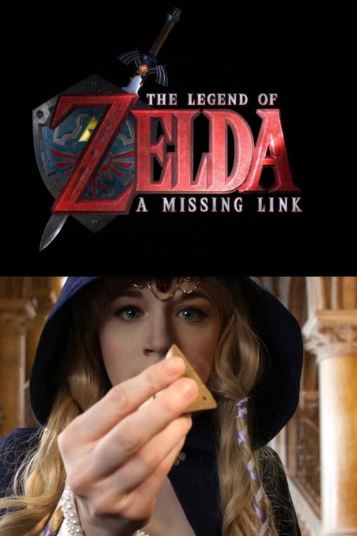 The legend of Zelda : A Missing Link (2017) poster