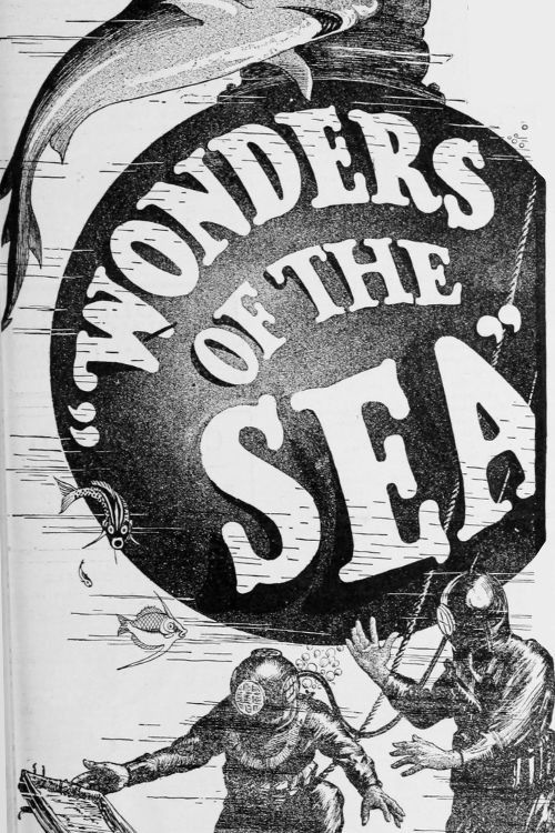 Wonders of the Sea (1922) poster