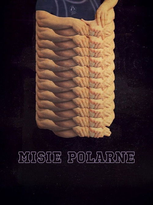 Misie polarne (2023) poster