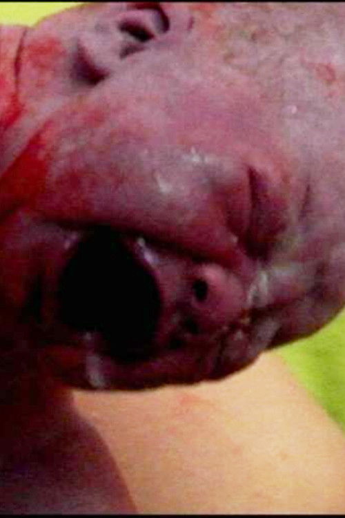 Awaiting (2006) poster