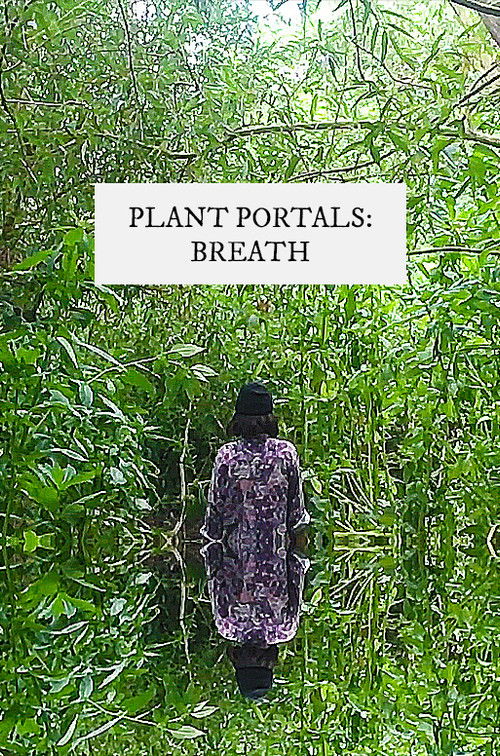 plant portals: breath (2020) poster