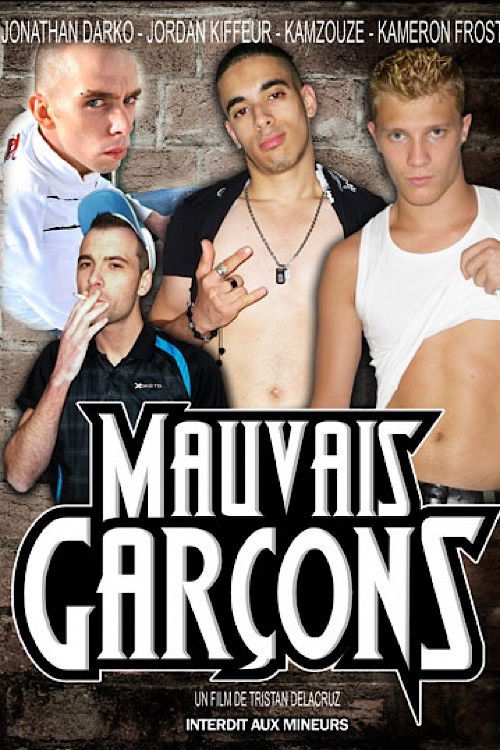 Mauvais Garçons (2013) poster