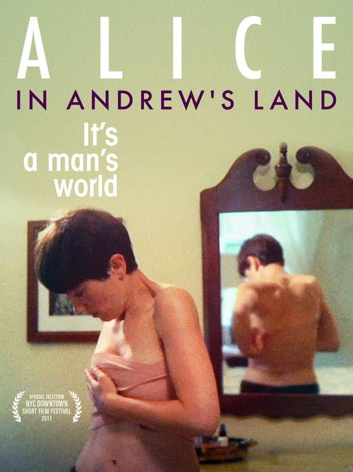 Alice in Andrew's Land (2011) poster