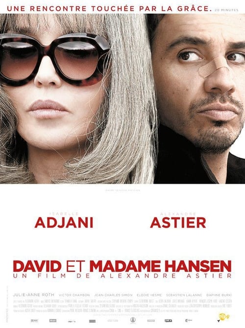 David ve Madam Hansen (2012) poster