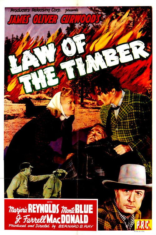 Law of the Timber (1941) poster