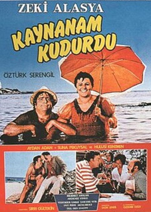 Kaynanam Kudurdu (1974) poster