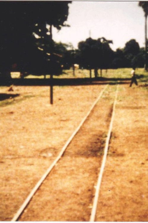 L'escale de Guinée (1987) poster