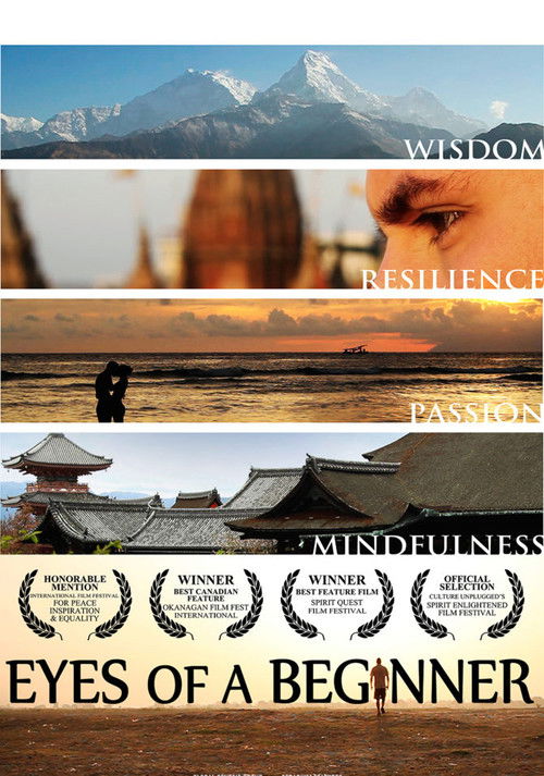 Eyes of a Beginner (2013) poster