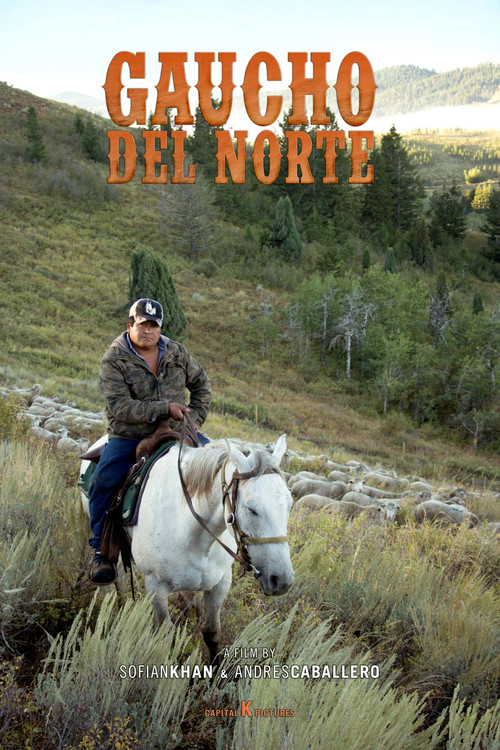 Gaucho del Norte poster