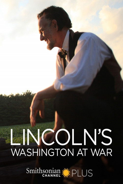 Lincoln's Washington at War (2013) poster