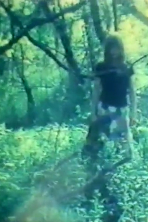 Diary Films I - V (1971) poster