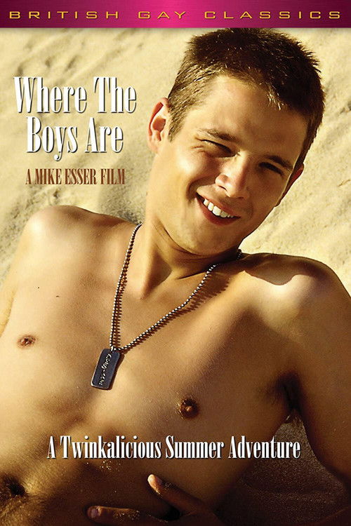 Where the Boys Are (1996) poster