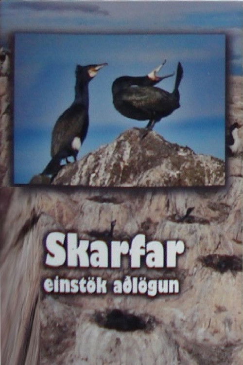 Skarfar (2010) poster
