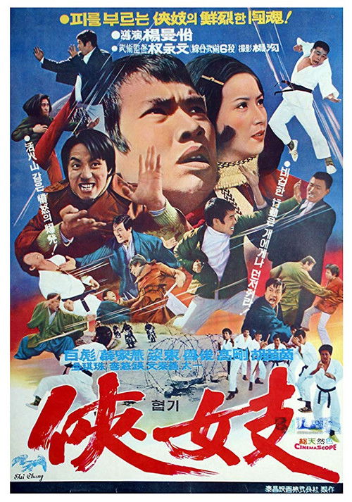 Action Tae Kwon Do (1972) poster