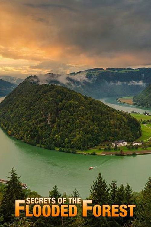 Secrets of the Flooded Forest - Danube National Park (2011) poster
