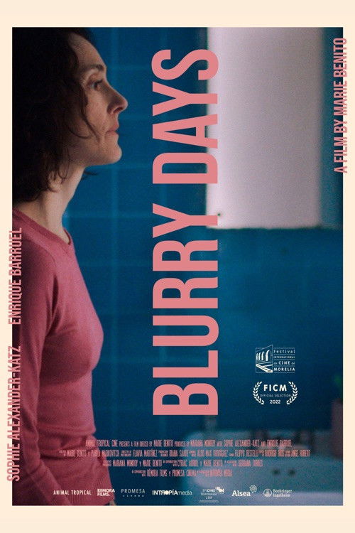 Blurry Days (2022) poster