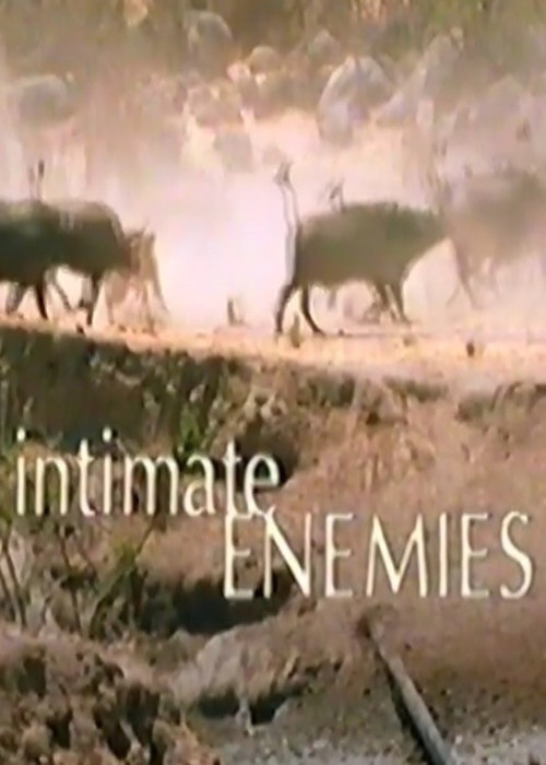 Intimate Enemies (2000) poster